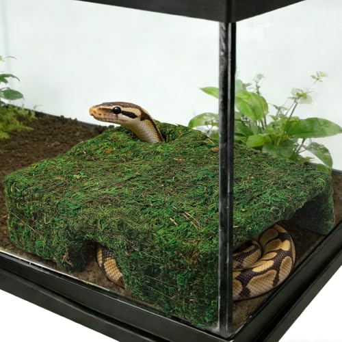 M Size Green Moss Reptile Cave, Safe Hide for Snakes & Geckos | Natural green moss finish, Smooth rounded entry edge, Handcrafted durability - color: M Green