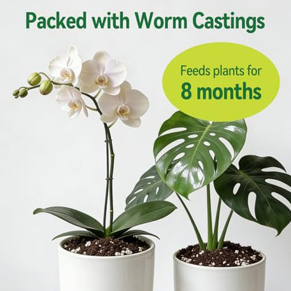 ZeeDix 1QT Tropical Potting Mix for Plants | Perlite Coco Coir Vermiculite Peat Moss, Balanced Aeration Drainage & Moisture Retention, Beginner Friendly - color: Potting Soil Mix, size: 1 qt