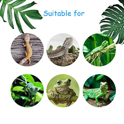 4 PCS Crested Gecko Coconut Hide Natural Lizard Coco Hut Reptile Hanging Nest Flexible Vine Habitat Decoration Bearded Dragon Terrarium Accessories for Tortoise Chameleon Snake Spider - style: 【Style B】