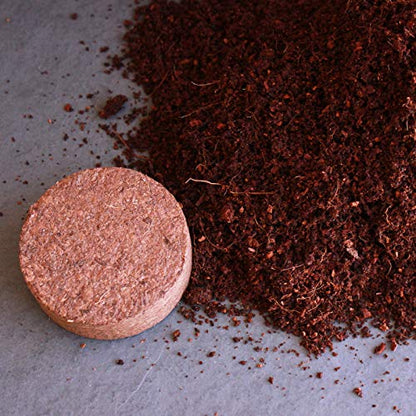 Minute Soil - Compressed Coco Coir Fiber Grow Medium - 60 MM Disks - 10 Pucks (1 Pack)