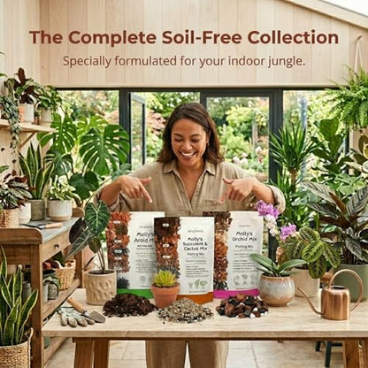 Molly's Succulent Mix - Premium Gritty Soilless Potting Mix for Succulents, Cactus and Bonsai - Contains Akadama, Hyuga, Bark Fines, Pumice, Lava Rock, Mycorrhizae 5 Dry Quarts - size: 5 Dry Quarts, style: Succulents & Cacti