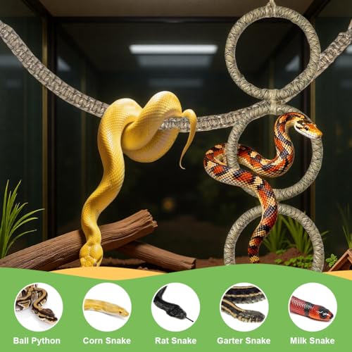 2 Pcs Snake Climbing Accessories, Reptile & Snake Climbing Ring Set with Suction Cups, Enrichment Toy for Ball Python, Corn Snake, Bearded Dragon, Lizard Tank Accessories