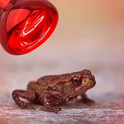 Aiicioo Reptile Red Night Light Bulb - 75W Reptile Heat Lamp Bulb Infrared Basking Spot Lamp for Bearded Dragon Lizard Turtle Hermit Crab Leopard Gecko Snake Chameleon Tank - color: ['Red'], size: ['75W']
