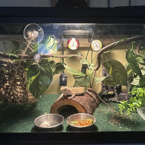 5 PCS Tank Accessories for Bearded Dragon Include Resin Classical Castle Reptile Climb Habitat Decor Hanging Jungle Vines Flexible Leaves Climbing Decor for Lizard Gecko Chameleon Spider