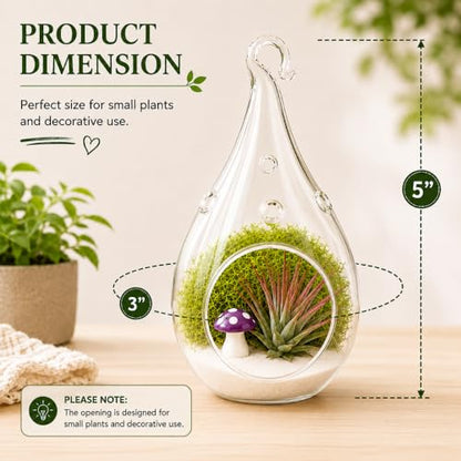 Creations by Nathalie - DIY 5" Terrarium Kit with Live Air Plant (Local & Fresh from Florida), Glass Tear Drop, Reindeer Moss, Figurine, Healing Crystal Chips and Sand - Handmade in USA - color: 5" Teardrop