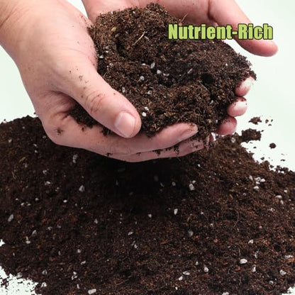 Organic Avocado Tree Potting Soil Mix 4qt, Enhance Growth and Transplant Success for Avocado Plants - size: 4qt