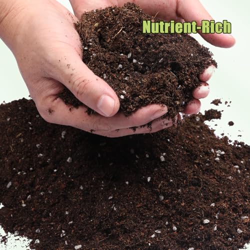 Organic Avocado Tree Potting Soil Mix 10qt, Enhance Growth and Transplant Success for Avocado Plants - size: 10qt