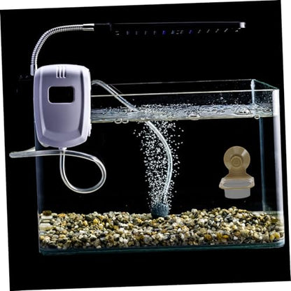 BESPORTBLE Robust Material Reptile Food Water Bowl Capacity Suction Cup Fixed for Tortoises Lizards Geckos Chameleons