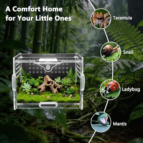 Acrylic Jumping Spider Enclosure - Multi-Purpose Reptile & Insect Habitat Cage with Ventilation for Jumping Spiders,Arboreal Tarantula, Scorpion, Lizard, Snake, Gecko, Snail & Isopod(3.9x3.1x2.7'')