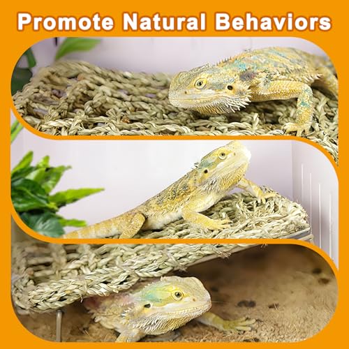 Bearded Dragon Hammock - Reptile Tank Accessories with Adjustable Metal Legs - Natural Seagrass Basking Platform Bed Habitat for Lizards, Leopard Gecko, Snake, Turtle, Hermit Crab and Frog (Rectangle)