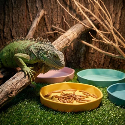 4PCS Reptile Food Dish, Round Plastic Reptile Water Bowl, Reusable Escape Proof Reptiles Feeding Dish for Lizards, Geckos, Bearded Dragons, Chameleons, Hermit Crabs, and Other Small Reptiles