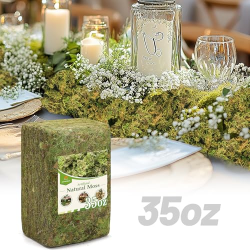 Alphatool 35oz Jumbo Pack Natural Green Moss for Crafts - Bulk Moss for Plants Indoor, Artificial Fairy Gardens, Mosswall, Filling Fake Plants, Floral Design, Home Decoration, Professional DIY Use - color: 35 Oz