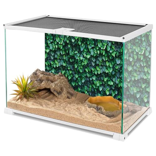 YongFoto Reptile Terrarium Background 36x14 inch Reptile Tank Background Botanical Plant Green Leaves Vine Wall Reptile Habitat Background Bearded Dragon Fish Tank Aquarium Background Backdrop - color: Green, size: 36x14in/90x36cm