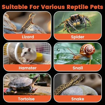 Jumping Spider Enclosure, 6"×6"×11.8" Dual Magnetic Door Arboreal Tarantula Cribs, Ventilation Spider House, Escape Proof Praying Mantis Habitat, Acrylic Snail Cage, Acrylic Terrarium Habitat