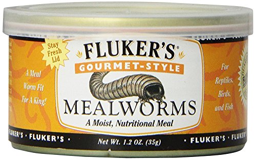 Fluker's Gourmet Mealworms, Canned Food for Reptiles, Fish, Birds and Small Animals, 1.23 oz - size: 1.23 Ounce (Pack of 1), style: Mealworms