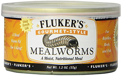 Fluker's Gourmet Mealworms, Canned Food for Reptiles, Fish, Birds and Small Animals, 1.23 oz - size: 1.23 Ounce (Pack of 1), style: Mealworms