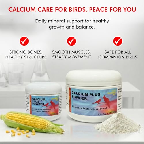 Morning Bird Calcium Plus Powder for Birds 4.5 oz – Calcium Supplement with Essential Vitamins & Minerals – Supports Bone Health, Muscle Function & Digestive Balance – Easy-to-Mix Calcium Formula - size: 4.5 Oz