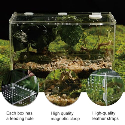 Acrylic Clear Reptile Habitat Enclosure Terrarium with Latch ，Perfect for Amphibians and Invertebrates Such as Spiders, Frogs, etc (Horizontal)