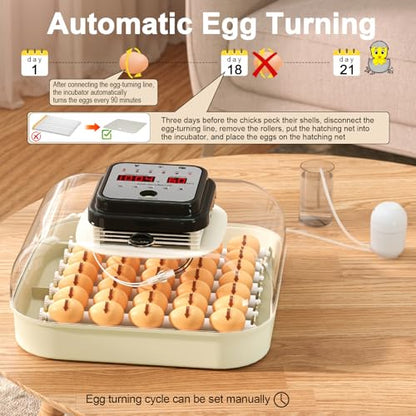 CoInceptus 35 Eggs Incubators for Hatching Eggs,Egg Incubator with Automatic Egg Turning and Humidity Control,Chicken Egg Incubator with Egg Candler, Incubator for Chicken, Duck, Goose, Pigeon, Quail