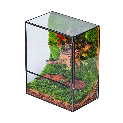 NCYP Close Glass Terrarium with Door - 7.8 x 5.1 x 9.8 Inches Geometric Landscape Clear Planter for Small Tropical Plants - Indoor Tabletop Centerpiece, Garden Decor (Terrarium Only) - size: 7.8x5.1x9.8 inches