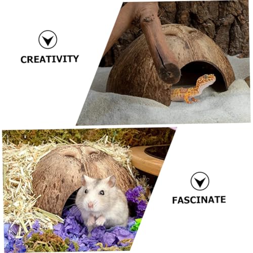 2-Pack Coconut Shell Reptile Hideout 4.72In Natural Coir Pet Shelter for Gecko Lizard Hermit Crab Terrarium Safe Habitat