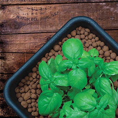 GROW!T GMC10L - 4mm-16mm Clay Pebbles, Brown, (10 Liter Bag) - Made from 100% Natural Clay, Can be used for Drainage, Decoration, Aquaponics, Hydroponics and Other Gardening Essentials - size: 10 liter