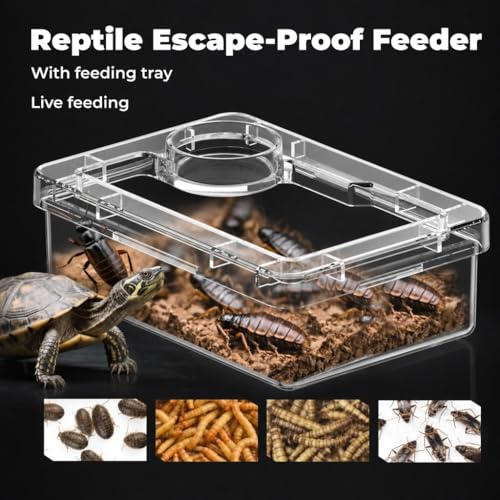 2-Pack Medium Reptile Escape-Proof Feeder Bowls, Clear + Transparent Blue