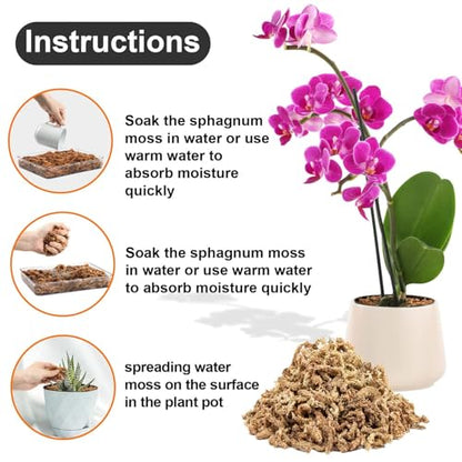 3 Oz Sphagnum Moss for Orchids - Sukh Sphagnum Peat Moss for Plants Dried Long Fiber Orchid Moss Potting Mix for Phalaenopsis Cattleya Orchids Repotting Succulent Carnivorous Potted Plant Reptiles