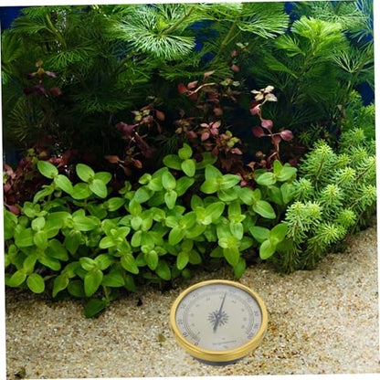Toyvian Golden Round Analog Hygrometer 2.83 Inch with 2% Rh Resolution and Stable Reliable Readings, Stainless Steel and Glass Material, for Reptile Terrarium and Room Panel Mount