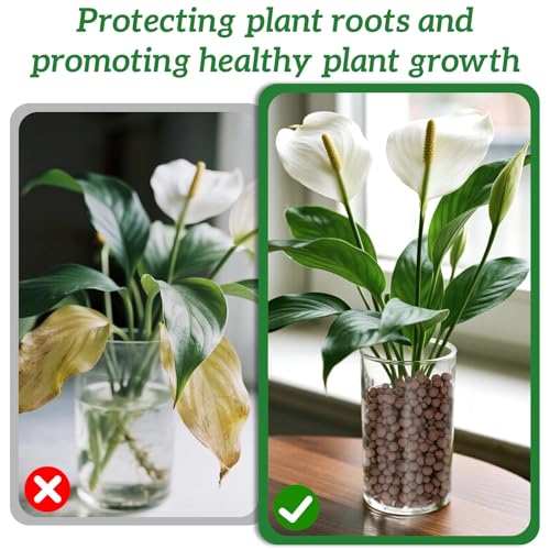 RAINFLOW Leca Clay Pebbles for Plants - 5mm-10mm Clay Balls for Plants Pebbles for Indoor Plant Hydroponic Growing Gardening Orchids Drainage Decoration Aquaponics Growing Terrarium 250g