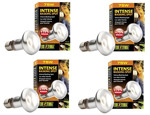 Exo Terra Sun-Glo Basking Infrared Spot Lamp, 75-Watt/120-Volt (4 Pack)