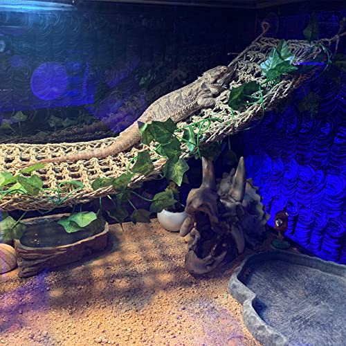 kathson Reptile Resin Dinosaur Skull Decoration Bearded Dragon Tank Triceratops Skeleton Accessories Vines Flexible Leaves Decor for Lizards Tortoises Snakes Frogs(3 PCS)