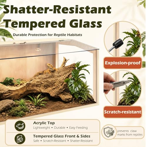 PROLEE Bearded Dragon Tank, Lizard Tank with Clear Tempered Glass, Anti-Scratch Reptile Enclosure, Reptile Tank Built-in Light Fixtures with Switch (32X16X16inch,34 Gallon) - color: Transparent Roof, size: 32X16X16inch,34 Gallons