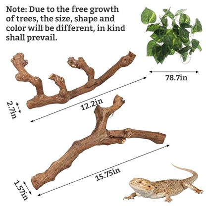 VCEPJH Snake Climbing Branch, 2Pcs Reptile Wood Natural Cork Log and Large Snake Climbing Branch Decor 15.5 in Natural for Chameleon Gecko Ball Python Frog