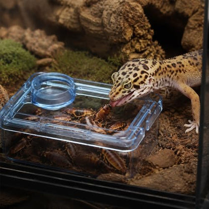 Reptile Anti-Escape Feeder, Transparent Blue Live Food Feeding Dish with Water Bowl, Escape Proof Feeding Container for Lizard Gecko Bearded Dragon Chameleon Spider Hermit Crab