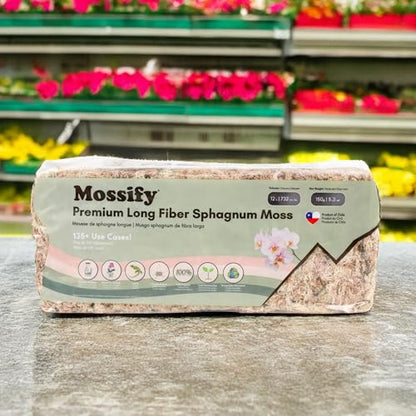 Mossify Premium Sphagnum Moss for Plants 150g, 5.3 Oz - Long Fiber Moss for Plants Indoor, Orchids, Terrariums, Gardening, Reptiles – Moisture Plant Moss for Propagation, Soil & Habitat Bedding - size: 150g (5.3 oz)