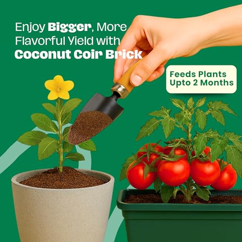 Gro-Med Coco Coir Brick 10 lbs – Expands to 80 Quarts – Enriched Organic Coconut Coir – Potting Soil for Indoor Outdoor Plants, Seed Starter, Vegetables, Mushrooms, Gardening Use - size: 1 Pack - NPK Enriched Coco Coir Block