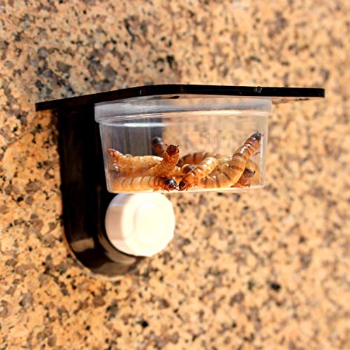 Hemobllo 4pcs Reptile Food Bowl Durable Black Feeding Dish for Lizards Geckos Iguanas More Space Saving Pet Accessories for Tanks Boxes - size: 4 Pcs