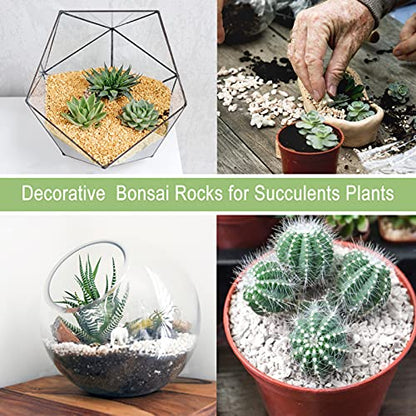 2LBS Horticultural Succulent Rocks Bonsai Mix Succulent Potting Mix Lava Rocks Cactus Soil Potting Mix Amendment - color: Marble Maifanitum