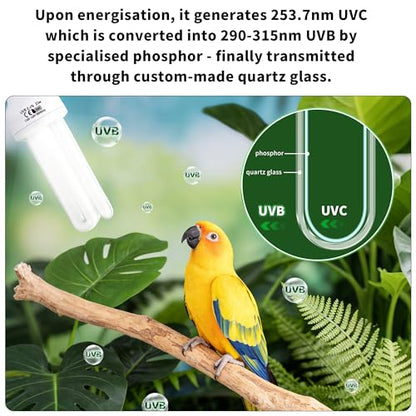 Bird Cage UVB Light Combo Kit, Avian Sun Lamp 2.4% UVB UVA 20W Compact Fluorescent Bulb for All Kinds Captive Birds, 2 Bulbs Included