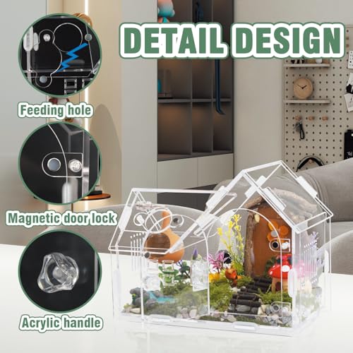 Acrylic Jumping Spider Enclosure with Magnetic Door - Transparent Tarantula Terrarium for Pet Spiders - Secure & Ventilated Reptile Habitat for Hermit Crabs, Geckos, and Small Insects