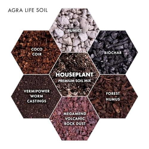 Premium Houseplant Soil Mix for Indoor & Outdoor Plants - Potting Soil for Monstera, Pothos, Snake Plants - Organic Blend for Growth -Potting Soil Indoor Plants Indoor Plant Soil - 4 Quarts - style: House Plant Soil Mix