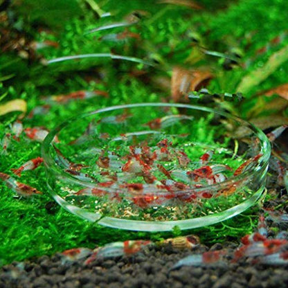 Shrimp Feeder Glass Feeding Dish Aquarium Fish For Tank Reptiles Round Clear Food Bowl 6cm-9.8cm Transparent Modern Floating Design Fish Feeder Feeding Dish
