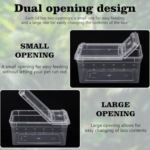 10Pcs Reptile Feeding Box, Transparent Animal Habitat Cage Spider Terrarium, Plastic Breeding Box for Reptile Turtle Spider Frog Scorpion Snake (5.9 x 3.9 x 2.5 in)