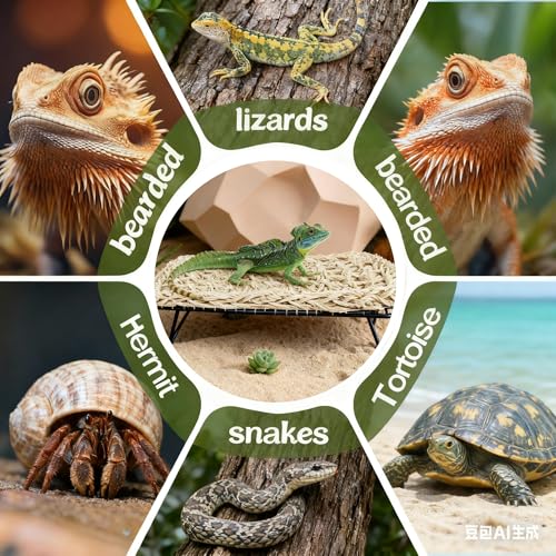 Large Bearded Dragon Tank Accessories13 x7.4"x3" + Humidity Meter Set Rectangle Lizard Bed with Metal Legs Grass Weaving Hammock for Turtle Snake Hermit Crab Frog (Straw Weaving, Rectangle)