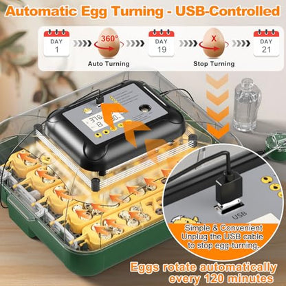 49 Egg Incubator for Hatching Eggs with Automatic Egg Turning, Temperature & Humidity Display, Hatch Day Countdown, Auto Water Refilling System, Egg Candler, Multifunctional Egg Tray for Chicken - size: M- 49 Chicken Eggs