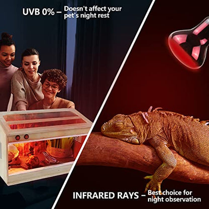 LUCKY HERP Infrared Heat Lamp 75W 2 Pack，Reptile & Amphibian Basking Spot Light Bulbs, Red Heat Lamp Bulbs for Reptiles, Bearded Dragon, Turtle, Lizard, Snake, Chicken - size: 75