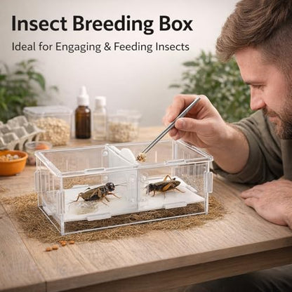 Acrylic Reptile Breeding Box, Feeding and Landscaping Container, 19 x 11 x 7.2cm - Durable Transparent Design, Movable Partition, Easy Viewing and Cleaning