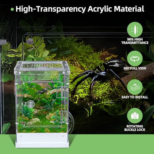 Jumping Spider Enclosure,7.8''x8''x12'' Large Insect Terrarium, Praying Mantis Habitat, Large Insect Terrarium,Reptile Enclosure,Spider Habitat Caterpillar Habitat 7.8''x8''x12''