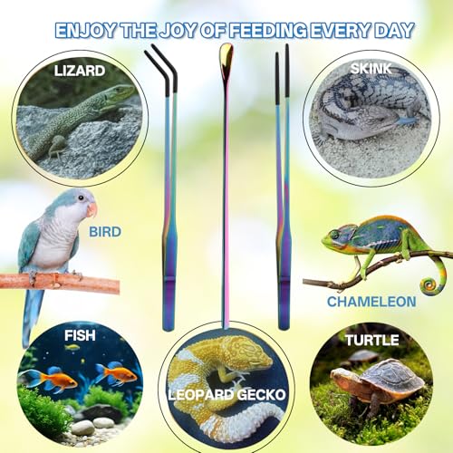 3PCS 10.6" Straight & Curved Reptile Feeding Tongs Set with Spoon | Soft Rubber Tips,Appropriate Length,Stainless Steel,Terrarium & Aquarium Essential Feeding Tools